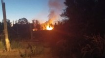 Imagen de Vecinos denunciaron robos e incendios intencionales en Fernández Oro: hubo un detenido