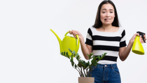 ¿Cuántas veces por semana hay que regar las plantas para que no se sequen?