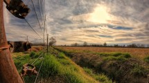 Imagen de Escasez de lluvias y calor: ¿cómo afectará el clima a Río Negro y Neuquén esta primavera?