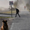 Imagen de Clima en Neuquén y Río Negro: ¿Cómo estará el tiempo este domingo 22 de septiembre?