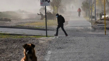 Imagen de Clima en Neuquén y Río Negro: ¿Cómo estará el tiempo este domingo 22 de septiembre?