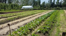 Imagen de Cómo repoblar las chacras: Allen se decide por la agroecología