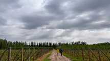 Imagen de Bodega Moschini: un paseo por una bodega familiar de un pueblo de Patagonia