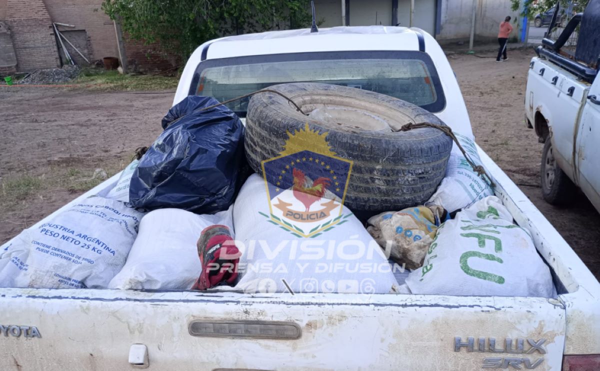 La carne que se secuestró venía desde Mendoza. Foto: Gentileza