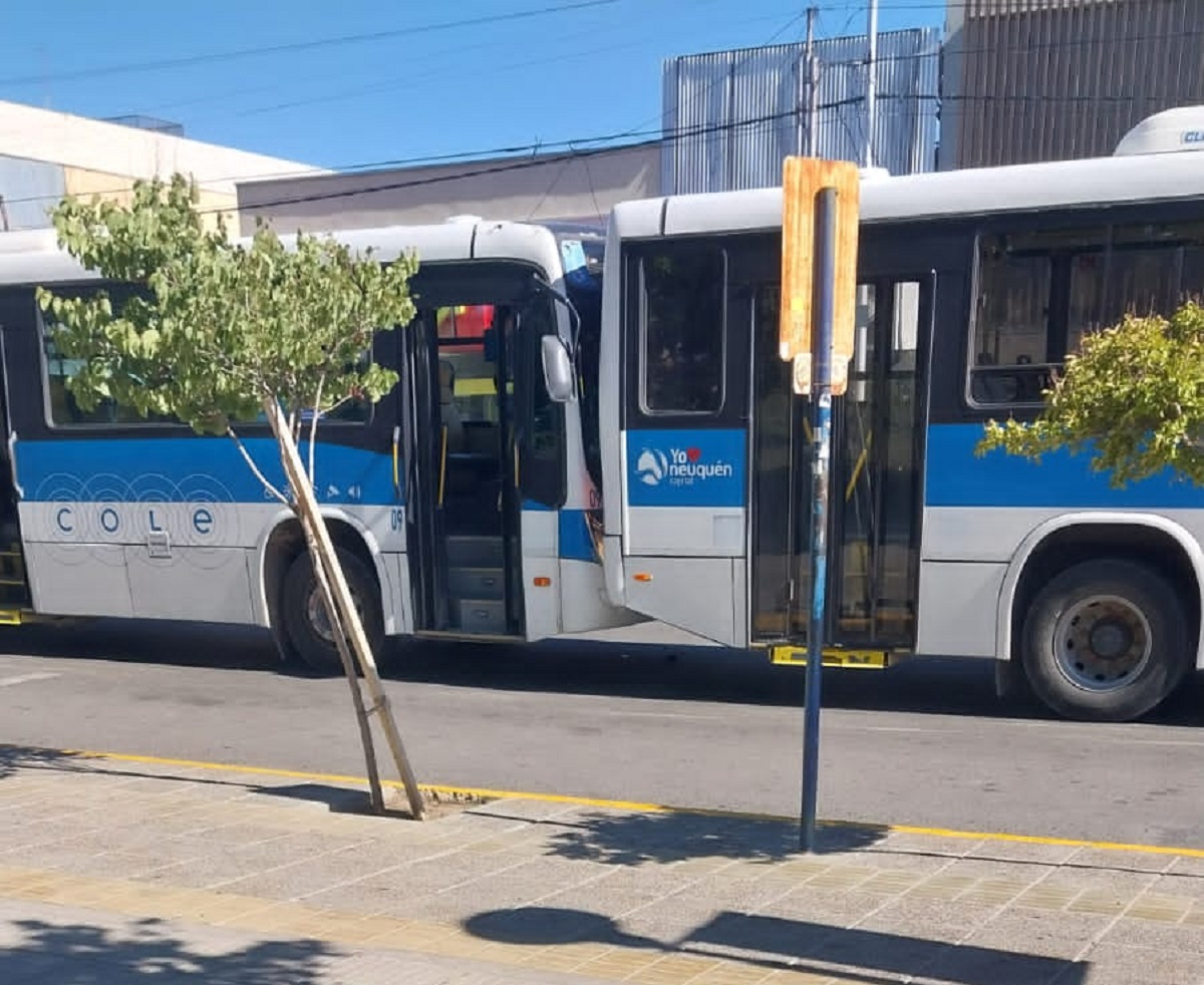 Insólito: dos colectivos de Neuquén chocaron en pleno centro, una mujer resultó herida 