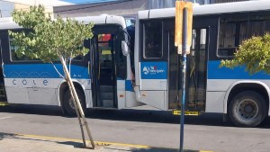 Insólito: dos colectivos de Neuquén chocaron en una parada del centro, una mujer herida