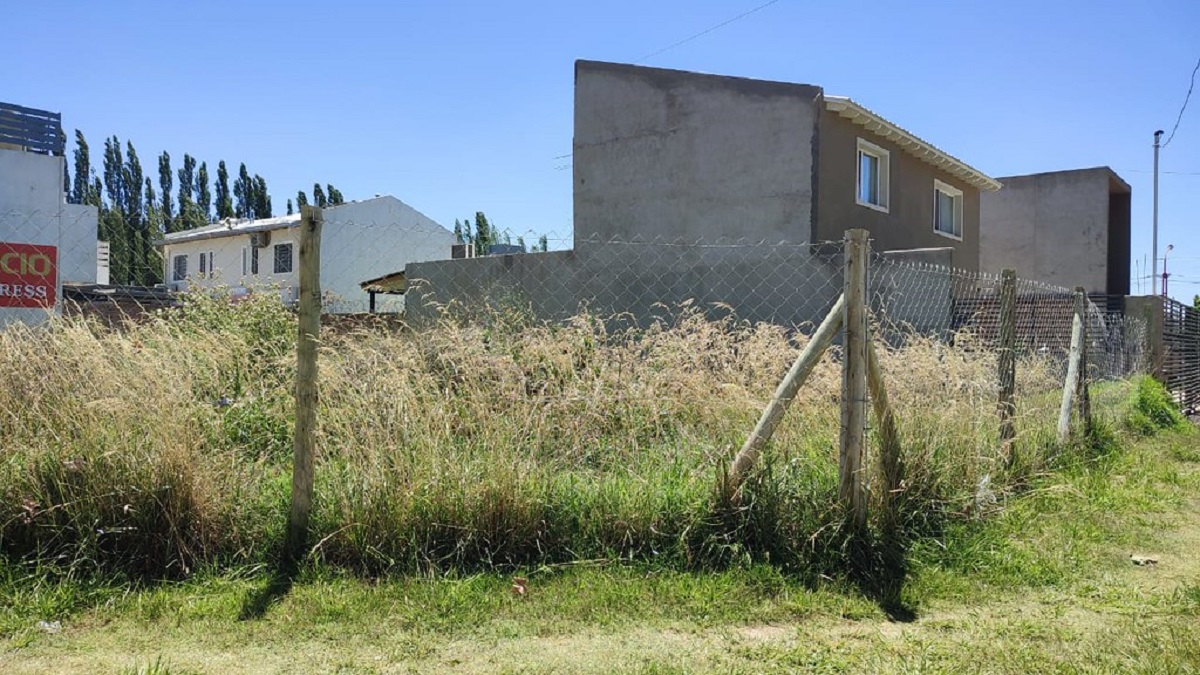 El municipio informó el valor de las multas por no limpiar los terrenos. Foto: Gentileza.