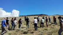 Imagen de Más de 70 personas participaron de la jornada en ganadería regenerativa en Neuquén