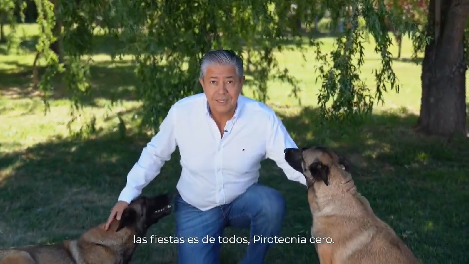 El gobernador difundió un video en la red social X para pedir que no se use pirotecnia en el festejo de la nochebuena (captura de pantalla)