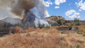 Se incendiaron varias hectáreas en un barrio de Neuquén, cerca del Tercer Puente