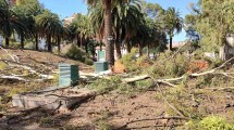 Imagen de Temporal en Bahía Blanca: el estado de salud de las nueve personas internadas