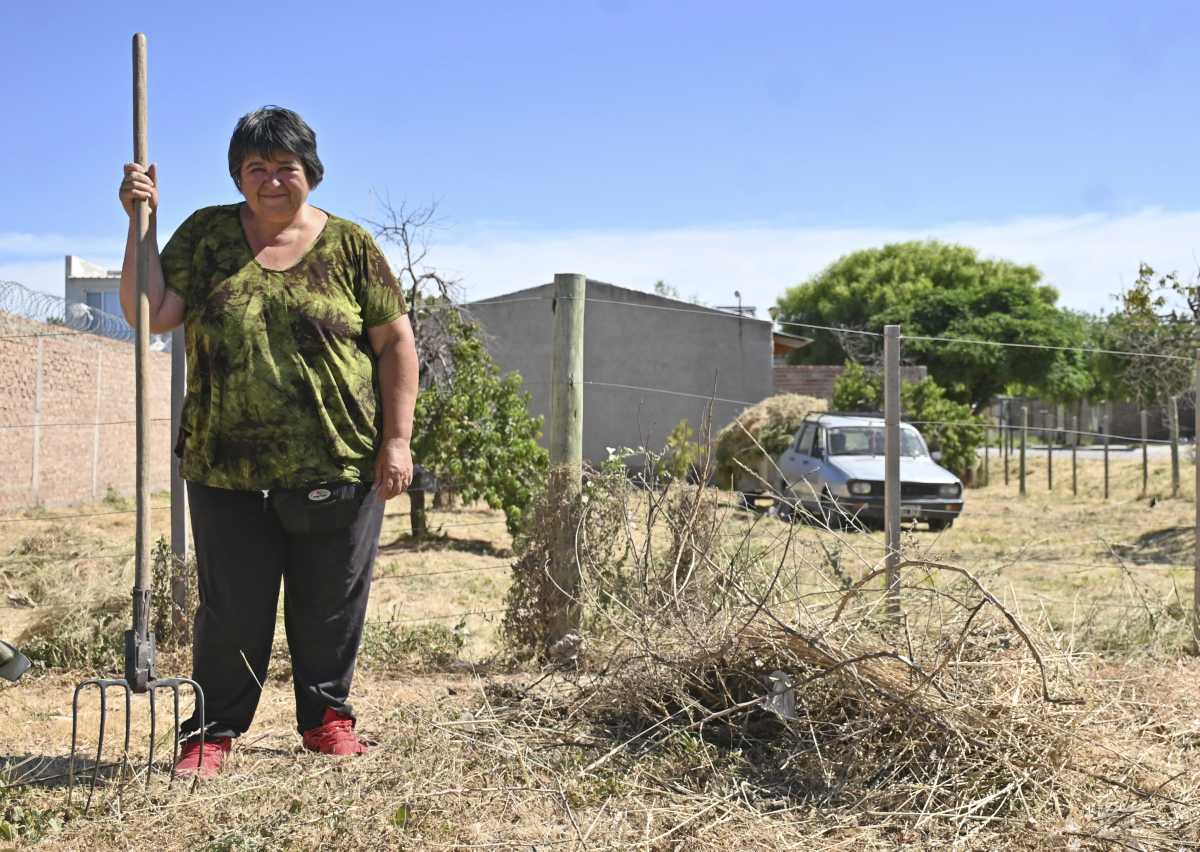 Herramientas en mano, desde que sale el sol, Celia sale en busca del pan de cada día.