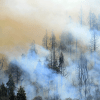 Imagen de Fenómeno «La Niña» en Neuquén: más riesgo de incendios y tormentas, el impacto en la provincia