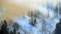 Imagen de Fenómeno «La Niña» en Neuquén: más riesgo de incendios y tormentas, el impacto en la provincia