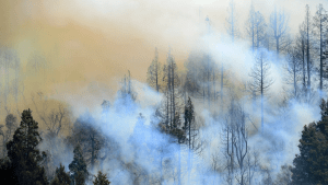 Fenómeno «La Niña» en Neuquén: más riesgo de incendios y tormentas, el impacto en la provincia