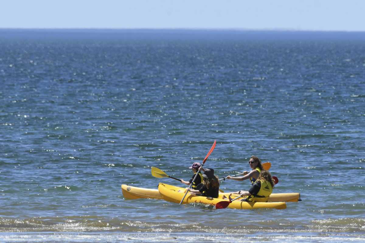 Verano en Puerto Madryn: 8 razones para elegir esta joya de la Patagonia y  los precios para ir - Diario Río Negro