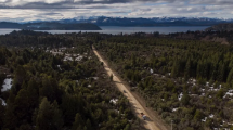 Imagen de La derogación de la ley de Tierras podría tener inmediato impacto en la Patagonia