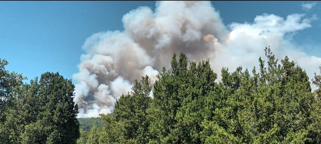 El incendio comenzó cerca del arroyo Centinela. Foto: gentileza