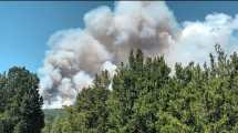 Imagen de Incendio descontrolado en el Parque Los Alerces: «Fue claramente intencional» 