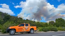 Imagen de Incendio descontrolado en el Parque Los Alerces de Chubut: se suman 18 combatientes para evitar que el fuego siga avanzando