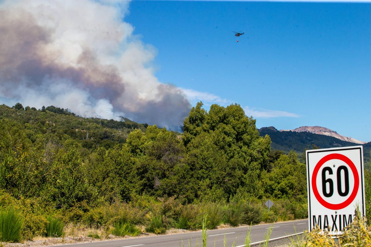 Incendio en el parque Los Alerces: suman más brigadistas y advierten por "varios días de trabajo". Foto Télam