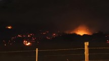 Imagen de Incendio forestal en la Ruta 324 de Neuquén: ya consumió más de dos hectáreas, está controlado