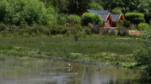 Imagen de Ambientalistas esperan cambios en la política municipal de Bariloche