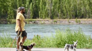 Clima en Neuquén y Río Negro hoy: El pronóstico del tiempo para este domingo 7 de enero