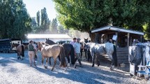 Imagen de La Expo Rural de Junín ya despliega todo su esplendor, con entrada libre y gratuita