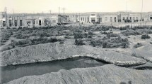 Imagen de ¿Lagunas en el Parque Central de Neuquén? ¡Sí!