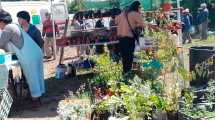 Imagen de Agricultura Familiar a la deriva: 1.000 pequeños productores asistidos sin certezas en Río Negro