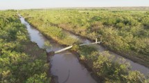 Imagen de Catriel sin luz ni agua potable: colapsaron dos líneas de media tensión por la tormenta