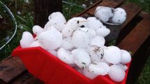 Imagen de Video | Granizo en Río Colorado: «Dañó gravemente la producción», dijo Weretilneck