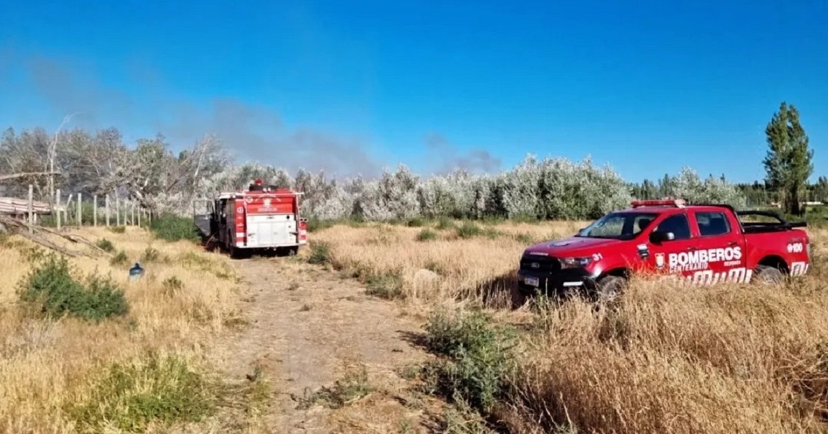 Impactante Incendio De Pastizales A Metros De Las Viviendas En Neuquén