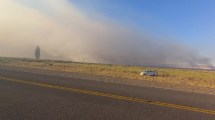 Imagen de Se reactivó el incendio forestal en la Ruta 234 de Neuquén: ya consumió 200 hectáreas