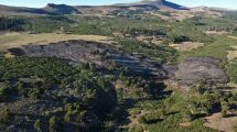 Imagen de Video | Incendio en el parque nacional Lanín, cerca del lago Rucachoroi: «Prevemos causas humanas»