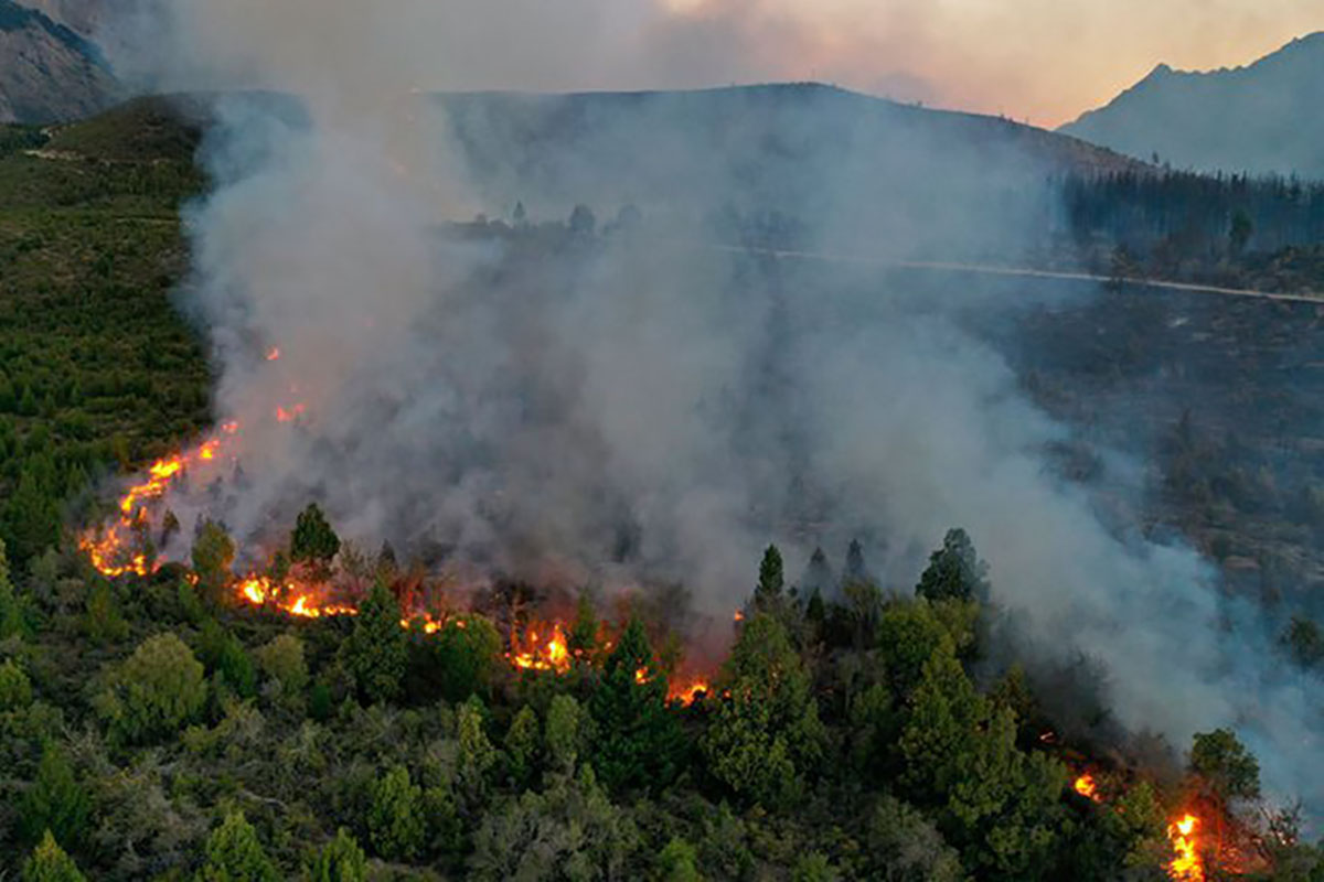 El fuego ya arrasó 2.000 hectáreas en Los Alerces.  Foto: Marcelo Martínez