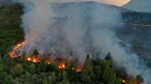 Imagen de Alertan por riesgo de incendios forestales en Río Negro, ante la situación en parque Los Alerces