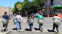 Imagen de En Río Negro más de 14.000 “golondrinas” ya trabajan en la cosecha de frutas