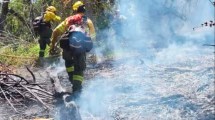 Imagen de Incendio en el parque Los Alerces ya consumió más de 1000 hectáreas: la acusación a la RAM