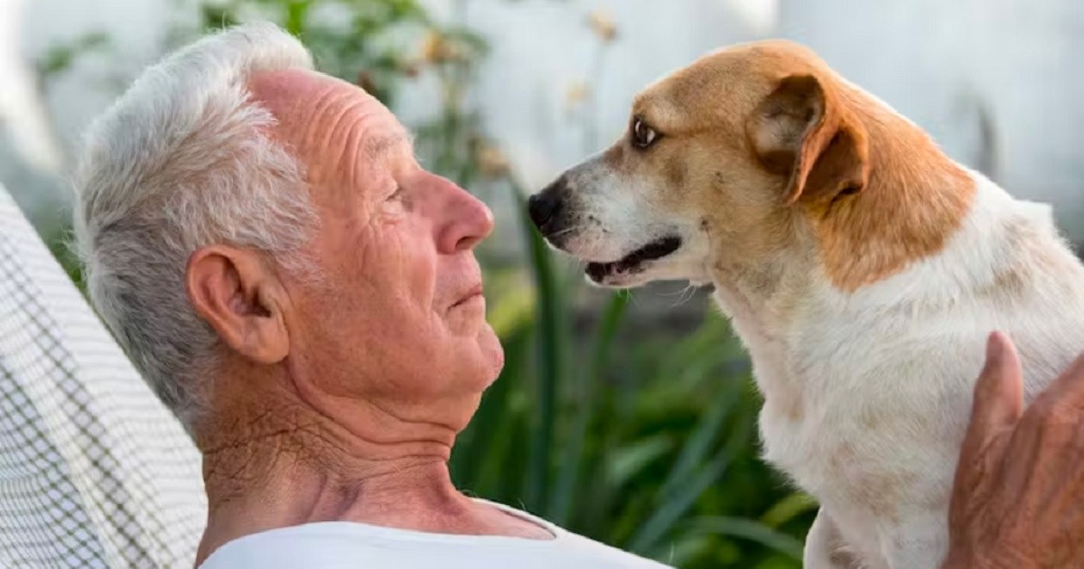 The contradictory psychological effects of pets on older people