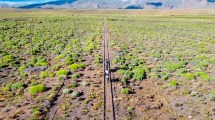 Imagen de De San Martín de los Andes a El Bolsón en bicicleta, la épica aventura de Lucía y Nahuel por rutas secundarias