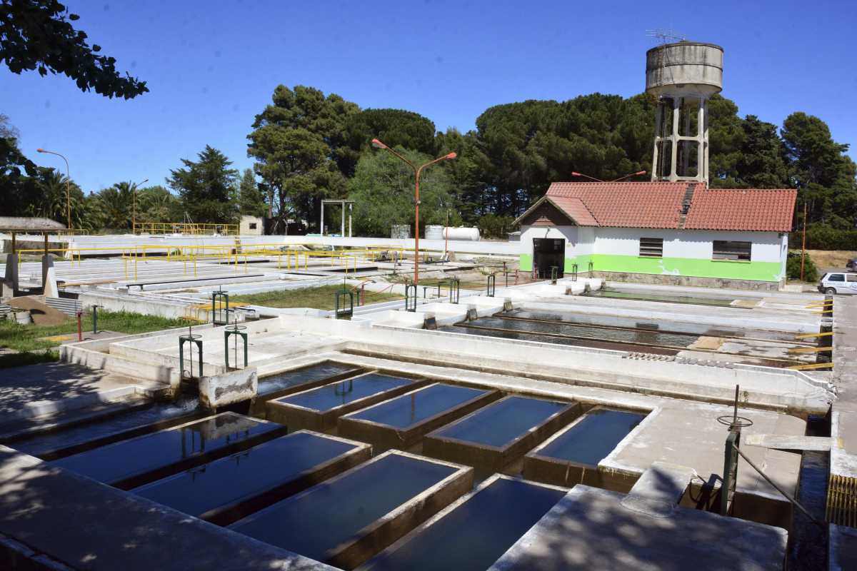 La planta potabilizadora de Viedma. Iud resaltó el bajo costo del agua. “ARSA cobra 10 centavos por litro y la envasada está en 500 pesos”, dijoFoto: Marcelo Ochoa