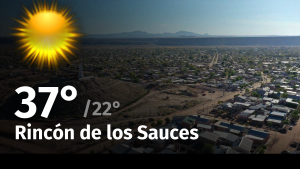 Clima de hoy, domingo 21 de enero de 2024, para la ciudad de Rincón de los Sauces