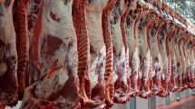 Imagen de Exportaciones: establecieron cupos para la carne a países de la Comunidad Andina y Mercosur