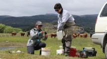 Imagen de Analizan vertidos de efluentes en arroyos de Río Negro y Chubut