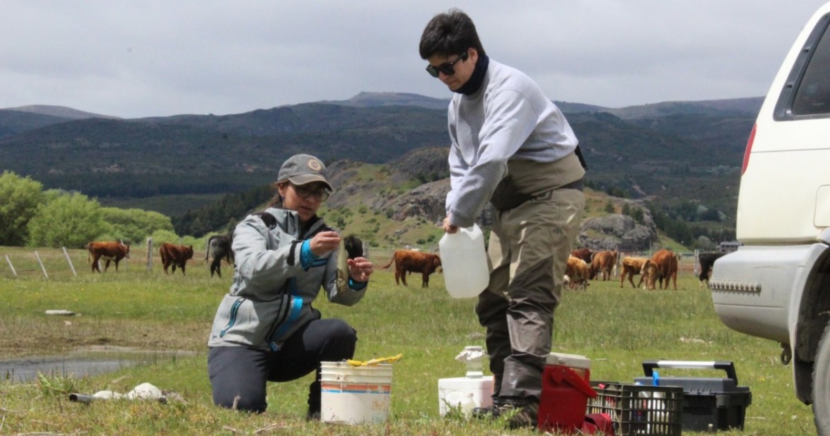 They analyze effluent discharges in streams of RÃo Negro and Chubut – Diario RÃo Negro