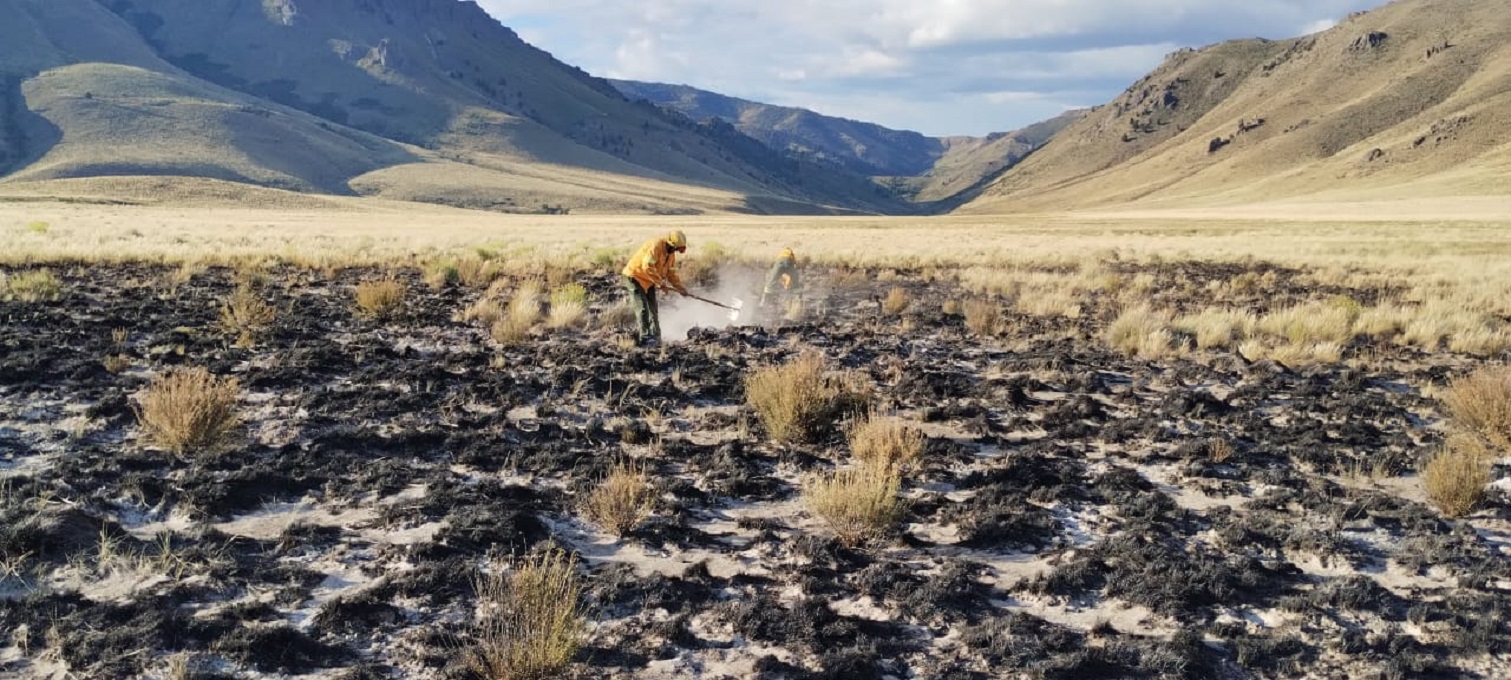 Incendios en la parque Nahuel Huapi: lograron controlar un foco iniciado por un rayo