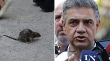 Imagen de Jorge Macri vivió un momento insólito durante una nota: apareció una rata y estallaron los memes