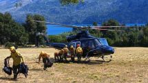 Imagen de Incendio en parque Los Alerces: ya son casi 8.000 hectáreas las afectadas 